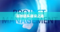 外贸团队外贸员管理优化策略，构建高效团队之道