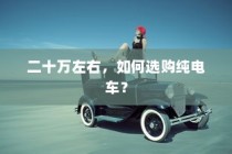二十万左右预算，纯电车选购攻略