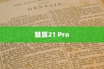 魅族21 Pro操作指南，如何关闭全局搜索功能