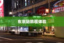 外贸猫，探索未来结构与发展路径
