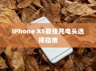 iPhone XS最佳充电头选择指南