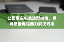 公司用车电池选型指南，探寻最佳电驱动力解决方案概览