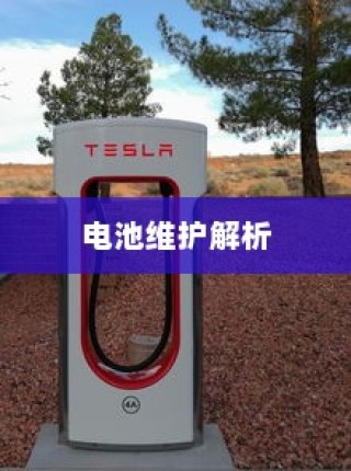 电动汽车电量降至30%时的充电策略与电池维护解析