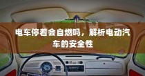 解析电动汽车的安全性，停车状态下是否会自燃？