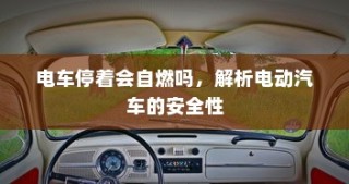 解析电动汽车的安全性，停车状态下是否会自燃？