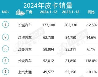 皮卡小市场，巨大潜力与未来展望