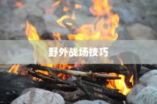 手游卢仙打野攻略，玩转野外战场技巧秘籍