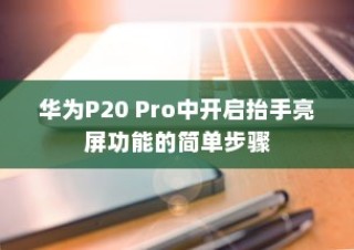 华为P20 Pro中开启抬手亮屏功能的简单步骤