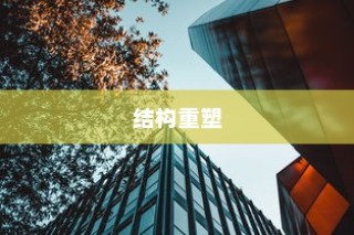 外贸猫视角下的长远观察与结构重塑策略探讨