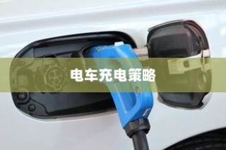 电动车充电频率与电池寿命探究，隔天充电是否可行？