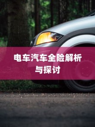 电车汽车全险解析与探讨，保障您的智能出行安全