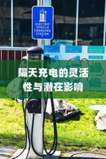 电动车充电策略深度解析，隔天充电的灵活性与潜在影响探讨