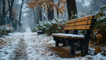 立春时节雨雪交加 冷空气再现：暴雨暴雪齐至