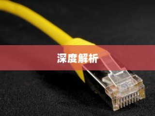 网络标准的深度解析，究竟何为网络标准？