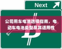 公司用车电池选型指南，电动车电池类型与适用性分析