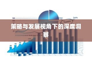 外贸猫，结构、策略与发展视角下的全方位深度洞察