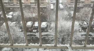 北京三月桃花雪，纷飞鹅毛大雪遮天蔽日的美景