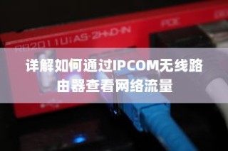 详解如何通过IPCOM无线路由器查看网络流量