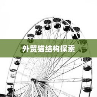 外贸猫结构探索，深度观察与分析