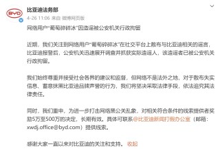 比亚迪法务部处理网络造谣者，网络空间不是法外之地
