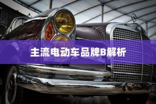 主流电动车品牌B深度解析，为何选择电车B牌子是明智的决策？