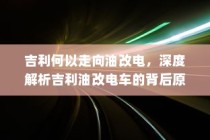 电车两轮上牌照优选探讨与指南大全