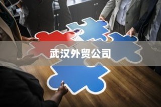 武汉外贸公司多元化战略下的蓬勃发展轨迹