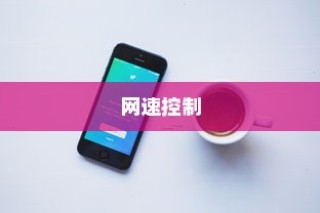 苹果智能手机网速控制的可能性探讨