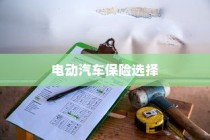 电动汽车保险选择解析，全险是否可行？电车保险考量与明智选择之道。