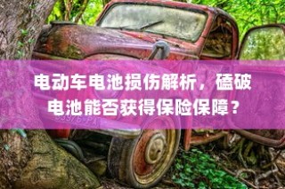 电动车电池损伤深度解析，磕破电池风险与保险保障探讨