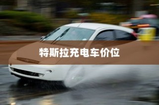 特斯拉充电车价位与市场吸引力深度剖析