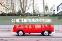 公司用车电池选型指南，电动车电池类型与适用性分析