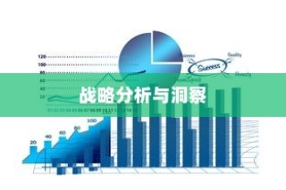 远视外贸猫结构，深度探索、战略洞察与分析