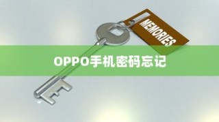 OPPO手机密码忘记怎么办？一招解锁技巧告诉你！