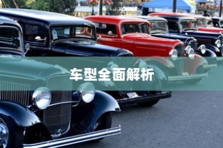 纯电车起火车型深度剖析