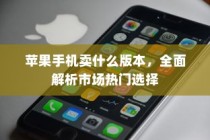 苹果手机卖什么版本，全面解析市场热门选择