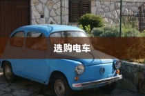 探寻最佳电动车品牌，智慧选购指南！