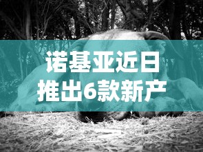 诺基亚近日推出6款新产品，将增强和16家公司合作，VR领域发力明显
