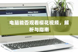 电脑能否观看樱花视频，解析与指南