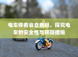 外贸猫，探索远景下的结构与发展路径