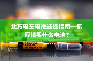 电车两轮上牌照的最佳选择，全面解读与指导