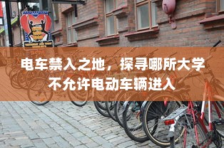 斯里兰卡购买电车是否划算，深度分析与探讨