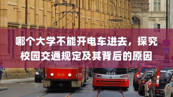 哪个大学不能开电车进去，探究校园交通规定及其背后的原因