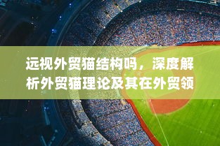远视外贸猫结构吗，深度解析外贸猫理论及其在外贸领域的应用与前景