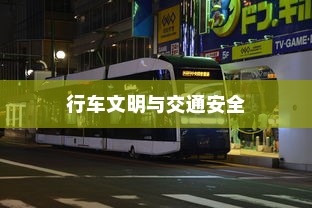 外贸猫结构深度探析，远视下的观察与解析