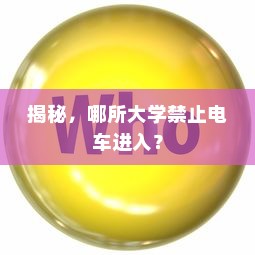 电车摇号买车流程详解