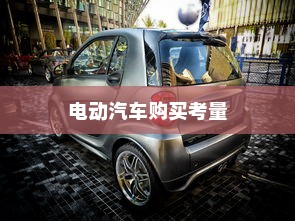 长途旅行是否适合购买电动汽车？