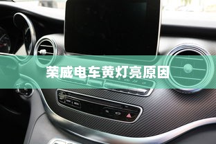外贸猫结构深度探析，远视下的观察与解析