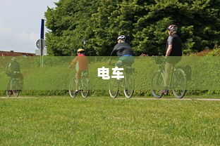 电车，绿色出行的新时代，是否引发新的饥饿源？