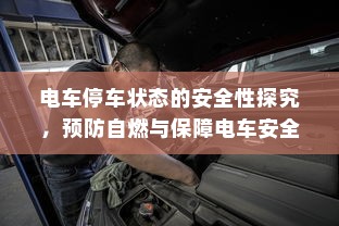 外贸猫，探索远景下的结构与发展路径